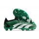 Botas adidas Predator Accuracy.1 Low FG Verde Blanco